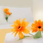 Bed & Breakfast Nord Ovest Amalfi Coast ,