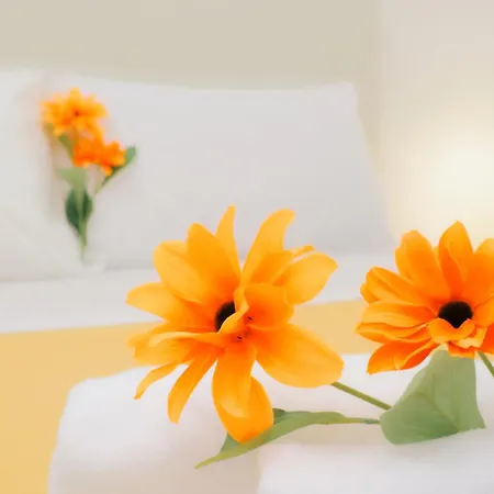 Bed & Breakfast Nord Ovest Amalfi Coast ,
